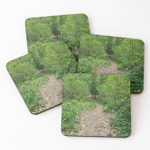 Item preview, Lush greenery along a nature trail designed and sold by NatureGems.