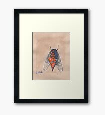 insect Framed Print