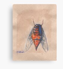 insect Canvas Print