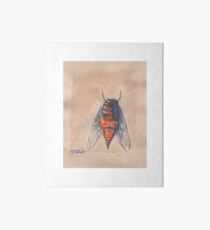 insect Art Board