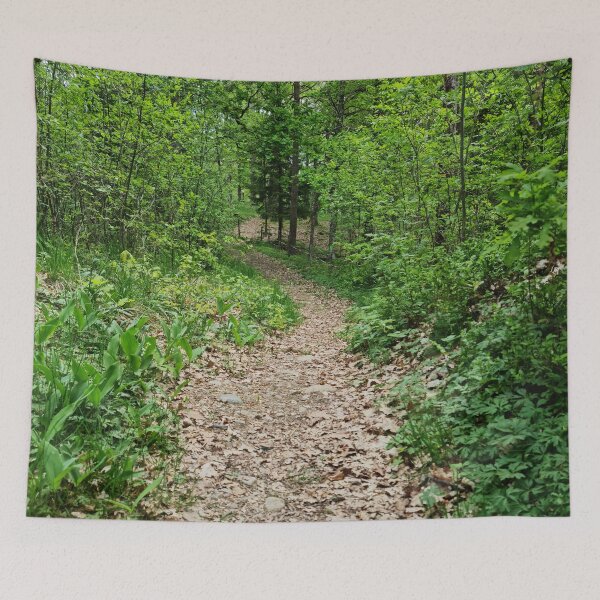 Item preview, Lush greenery along a nature trail designed and sold by NatureGems.
