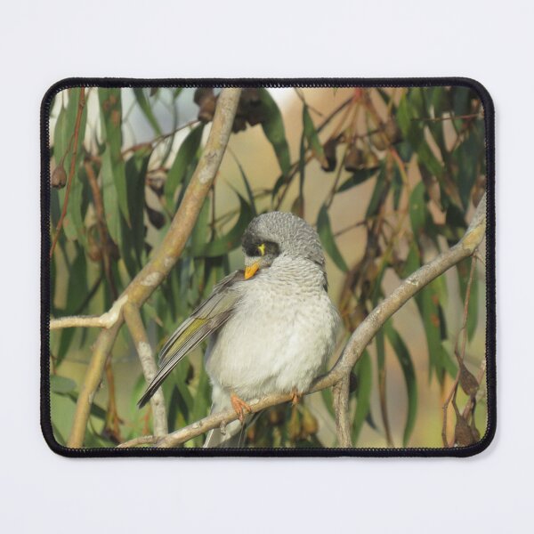 Item preview, A noisy miner preening itself designed and sold by greentiger1.