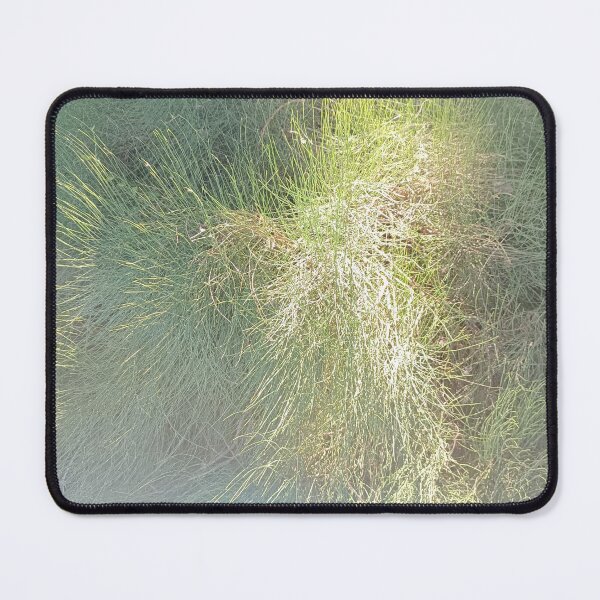 Item preview, spring grass, grass designed and sold by colorgallery11.