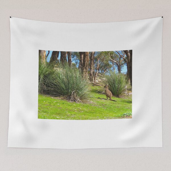 Item preview, Kangaroo With Spinifex Grasses - Adelaide Hills - South Australia designed and sold by exploramum.