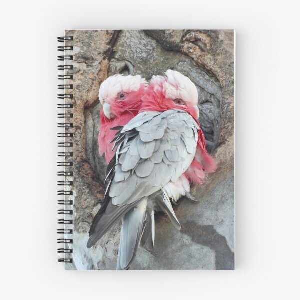 Item preview,  Galah's trying to stay warm designed and sold by Mark Grimsley.