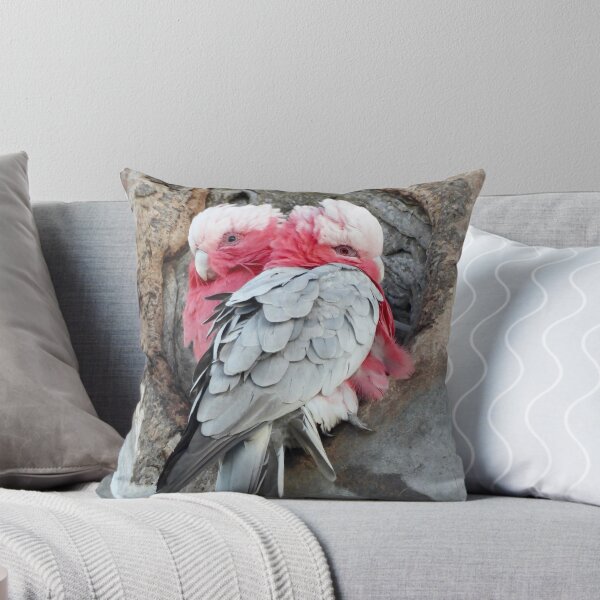 Item preview,  Galah's trying to stay warm designed and sold by Mark Grimsley.