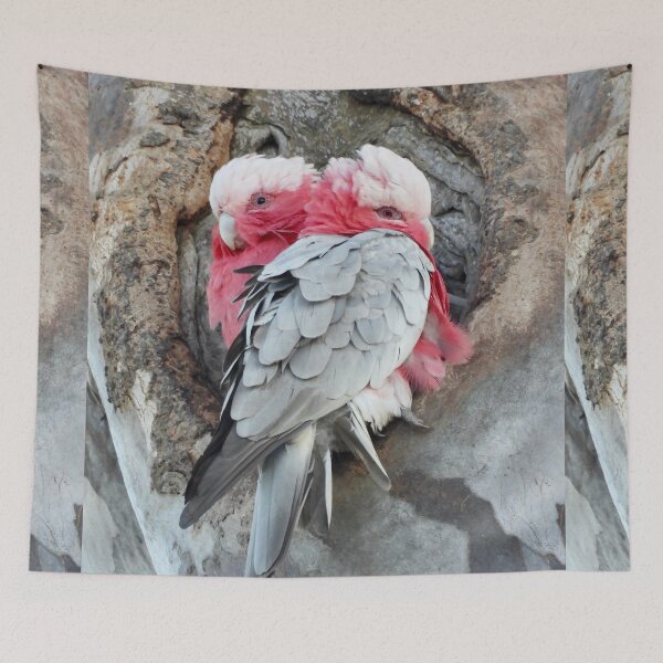 Item preview,  Galah's trying to stay warm designed and sold by Mark Grimsley.