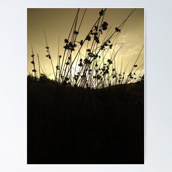 Item preview, Spiky Sunset designed and sold by InnerPassion.