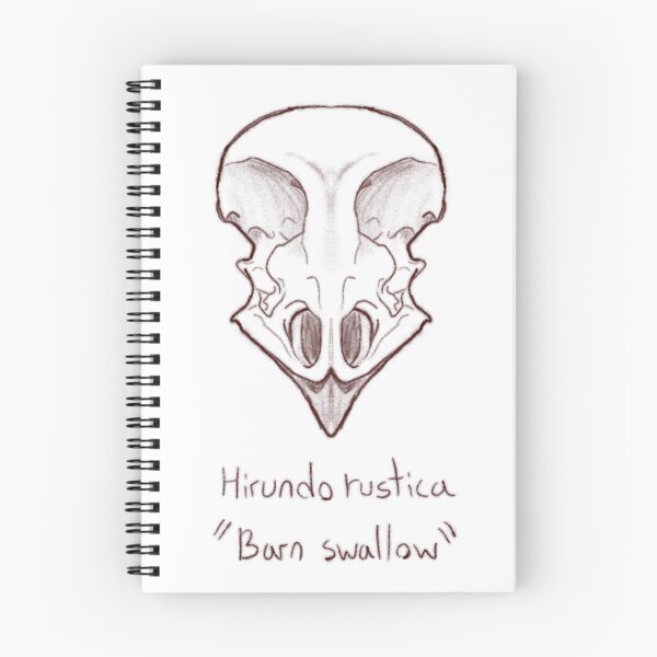 Item preview, Barn Swallow Skull designed and sold by GrilledRetro.