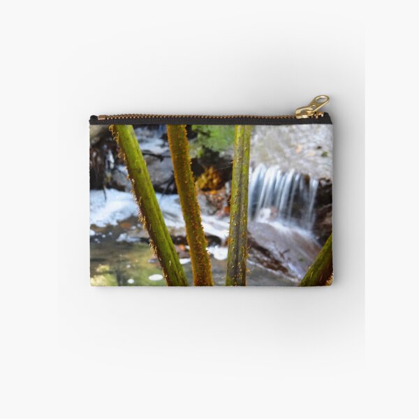 Item preview, Rainforest In The City - Sydney National Park Australia designed and sold by exploramum.