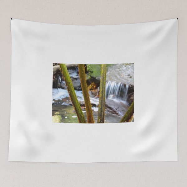 Item preview, Rainforest In The City - Sydney National Park Australia designed and sold by exploramum.