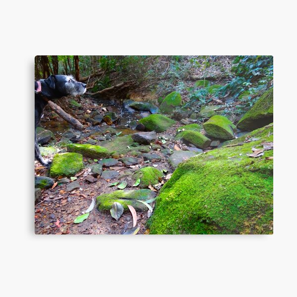 Item preview, Dog Gone Moss - Sydney Australia designed and sold by exploramum.