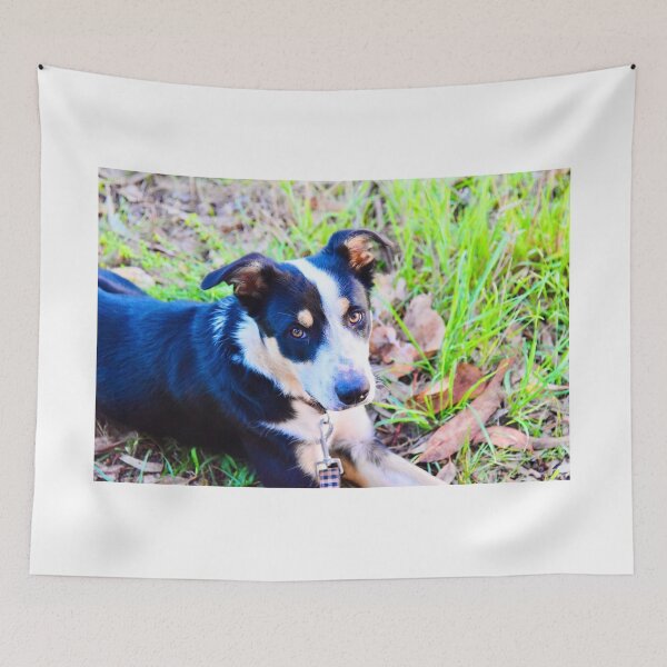Item preview, Daisy the muster dog designed and sold by cbrpix.