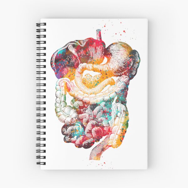 Item preview, Digestive Tract 2 designed and sold by NathanPars.