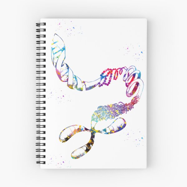Item preview, Dna Chromosome designed and sold by NathanPars.