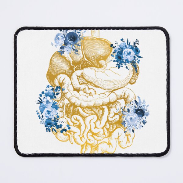 Item preview, Digestive Tract designed and sold by NathanPars.