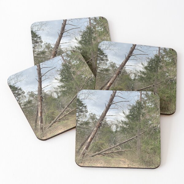 Item preview, Falling Trees Across the Path designed and sold by TabethaMorgan.