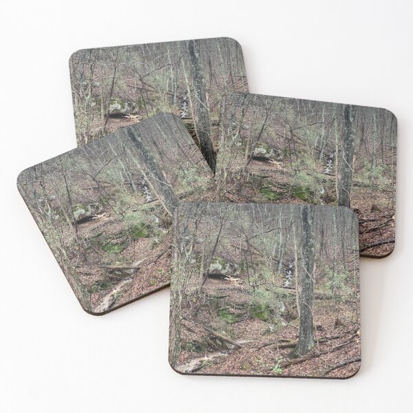 Item preview, Wooded Stream designed and sold by TabethaMorgan.