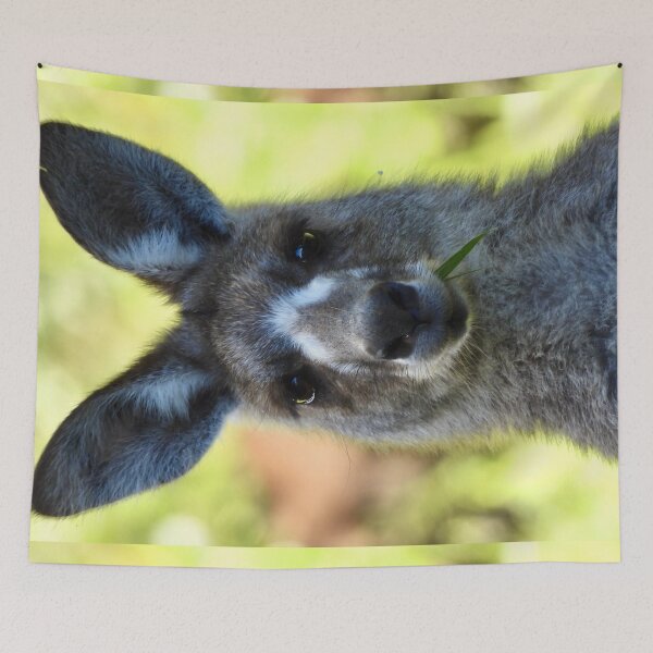 Item preview, Kangaroo face paint  designed and sold by Mark Grimsley.
