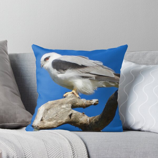 Item preview,  Black Shouldered Kite at Dundowran Beach red eye  designed and sold by Mark Grimsley.