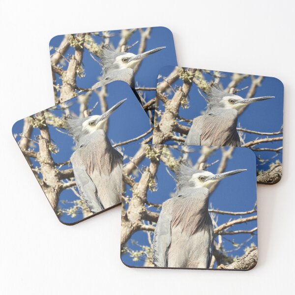 Item preview, White faced heron bad hair day  designed and sold by Mark Grimsley.