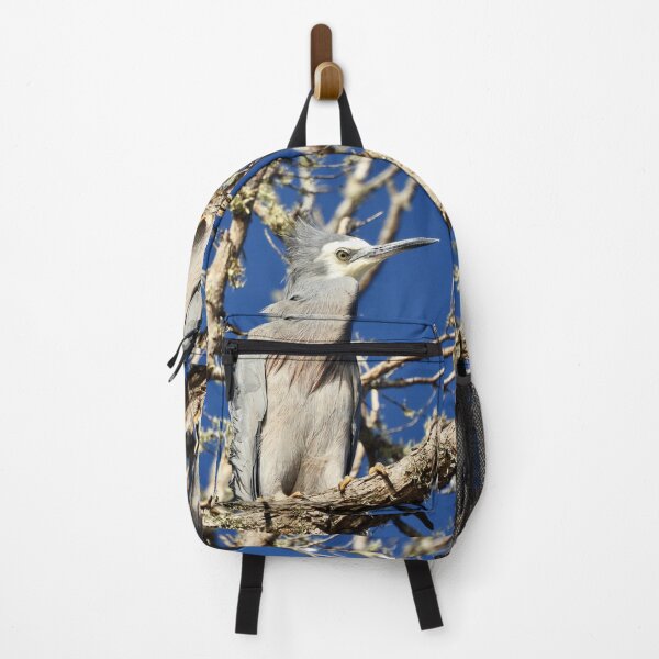 Item preview, White faced heron bad hair day designed and sold by Mark Grimsley.