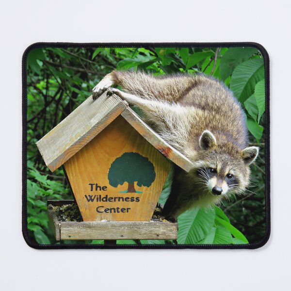 Item preview, Raccoon Bandit Thief at Birdfeeder designed and sold by Linda Walsh.