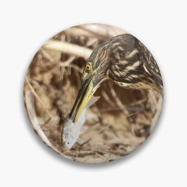 Item preview, Spear fishing master Striated Heron designed and sold by Mark Grimsley.
