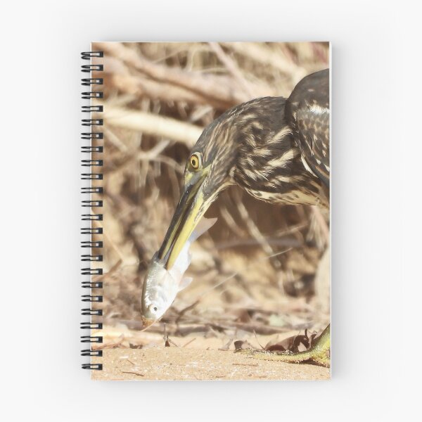 Item preview, Spear fishing master Striated Heron designed and sold by Mark Grimsley.
