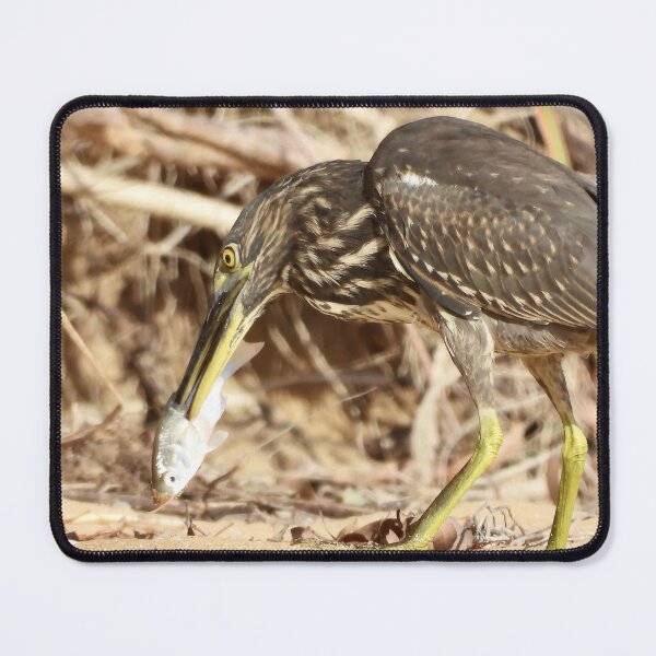 Item preview, Spear fishing master Striated Heron designed and sold by Mark Grimsley.