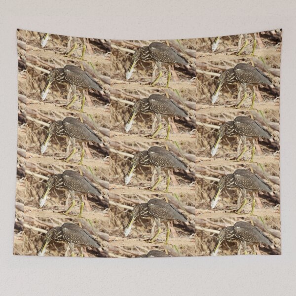 Item preview, Spear fishing master Striated Heron designed and sold by Mark Grimsley.