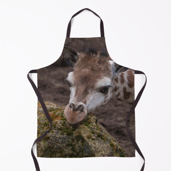 Item preview, Baby Giraffe Resting Head designed and sold by rawshutterbug.