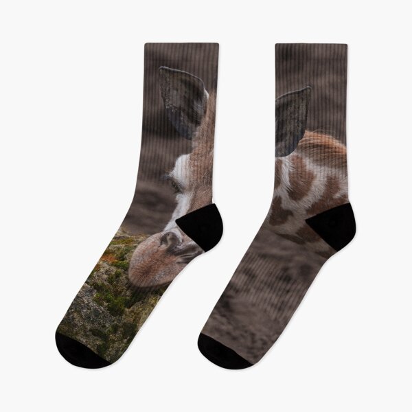 Item preview, Baby Giraffe Resting Head designed and sold by rawshutterbug.