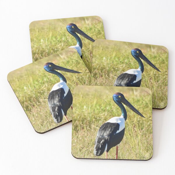 Item preview,  Jabiru Black-necked Stork proud female  designed and sold by Mark Grimsley.