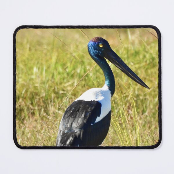 Item preview, Jabiru Black-necked Stork proud female designed and sold by Mark Grimsley.
