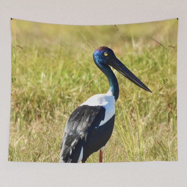 Item preview,  Jabiru Black-necked Stork proud female  designed and sold by Mark Grimsley.