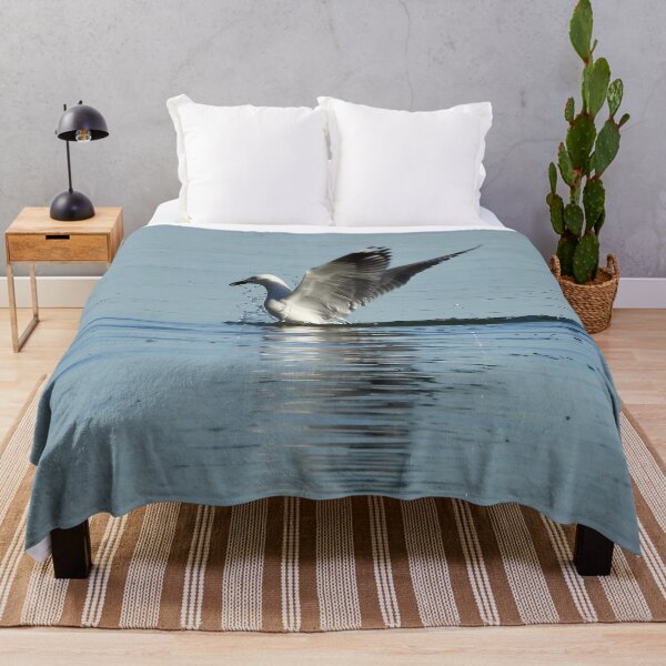 Item preview, Silver Gull splash down designed and sold by Mark Grimsley.
