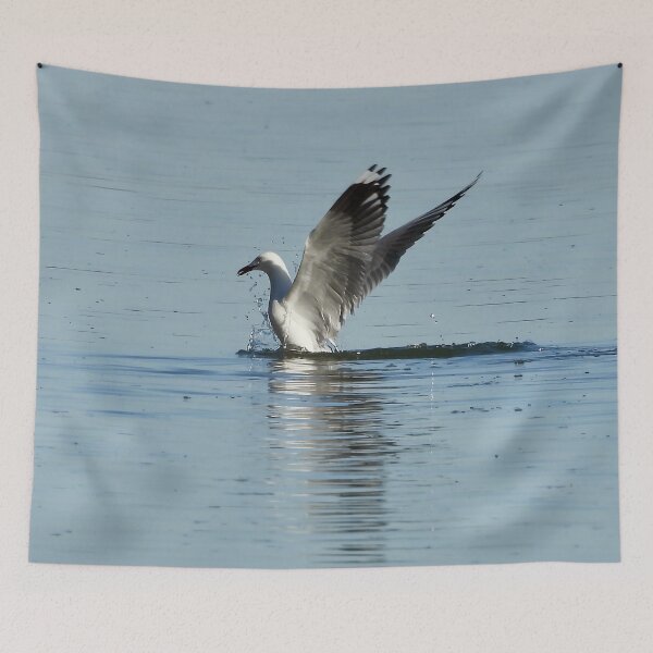 Item preview, Silver Gull splash down  designed and sold by Mark Grimsley.