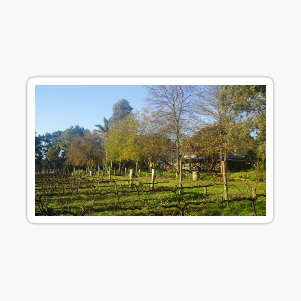 Item preview, Winter at Magpie Springs Vineyard with Homestead by Adelaide Artist Avril Thomas.  designed and sold by MagpieSprings.
