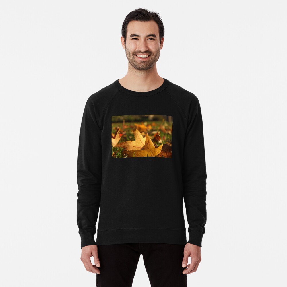 Item preview, Lightweight Sweatshirt designed and sold by MagpieSprings.