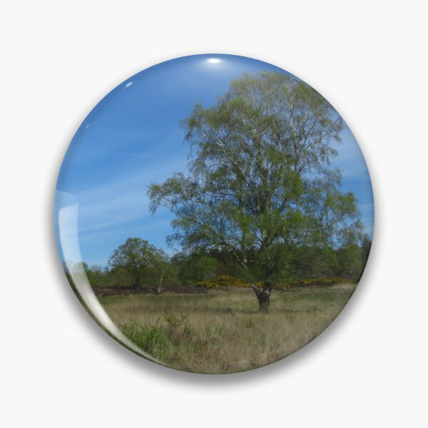 Artikelvorschau, Weiß-Birke, Dunwich Heath, Suffolk entworfen und verkauft von wiggyofipswich.