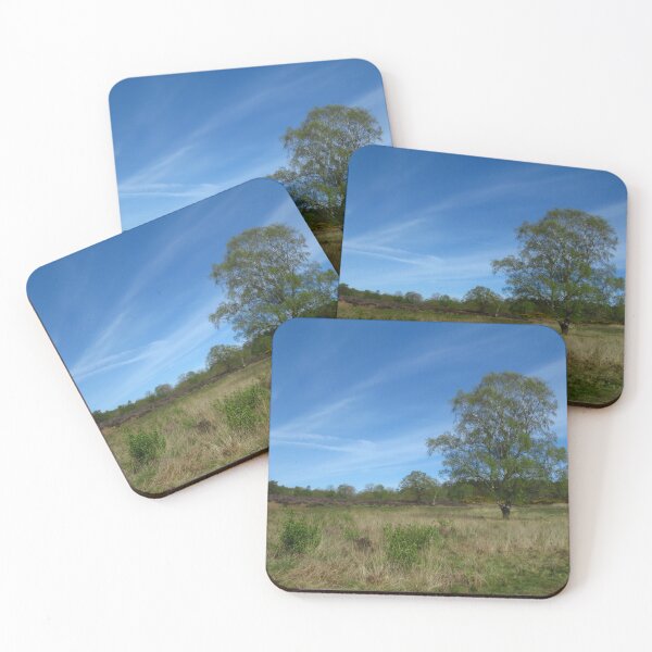 Item preview, Silver Birch Tree, Dunwich Heath, Suffolk designed and sold by wiggyofipswich.