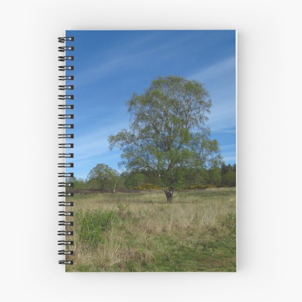 Artikelvorschau, Weiß-Birke, Dunwich Heath, Suffolk entworfen und verkauft von wiggyofipswich.