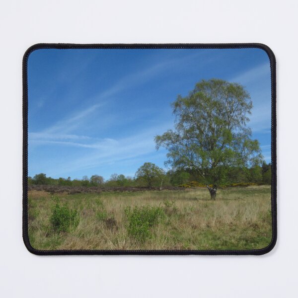 Item preview, Silver Birch Tree, Dunwich Heath, Suffolk designed and sold by wiggyofipswich.