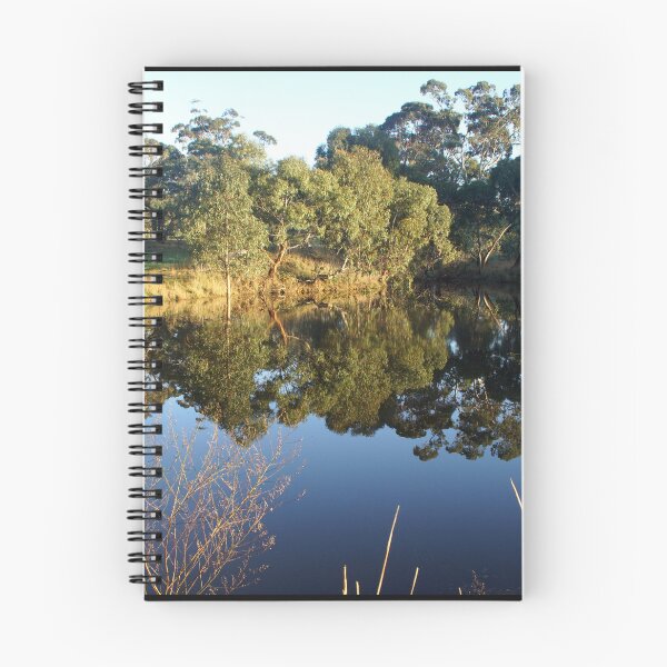 Item preview, The Big Dam at Magpie Springs by Adelaide Artist Avril Thomas designed and sold by MagpieSprings.