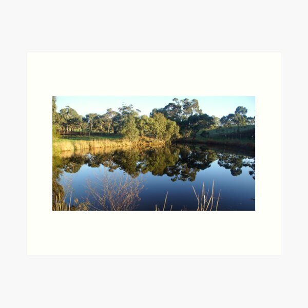 Item preview, The Big Dam at Magpie Springs by Adelaide Artist Avril Thomas designed and sold by MagpieSprings.