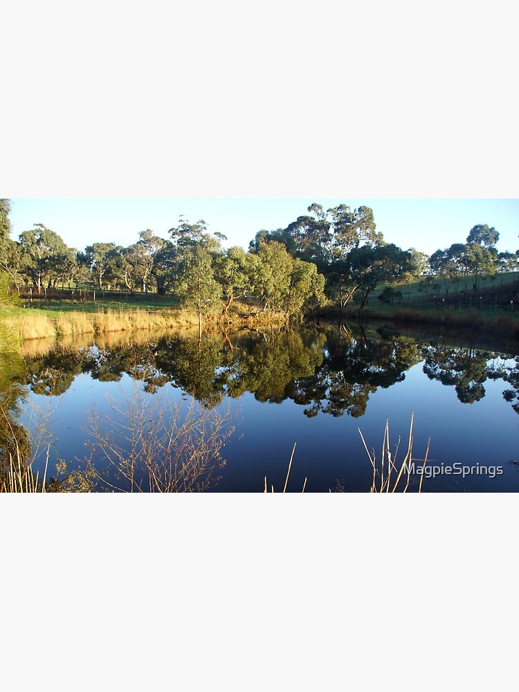 Thumbnail 3 of 3, Art Print, The Big Dam at Magpie Springs by Adelaide Artist Avril Thomas designed and sold by MagpieSprings.