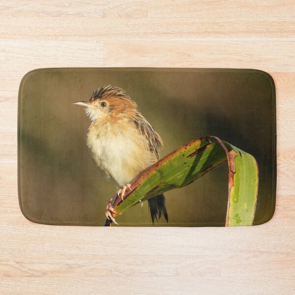 Item preview, Golden-headed Cisticola just hanging on an old leaf.  designed and sold by Jenny  Dyer.