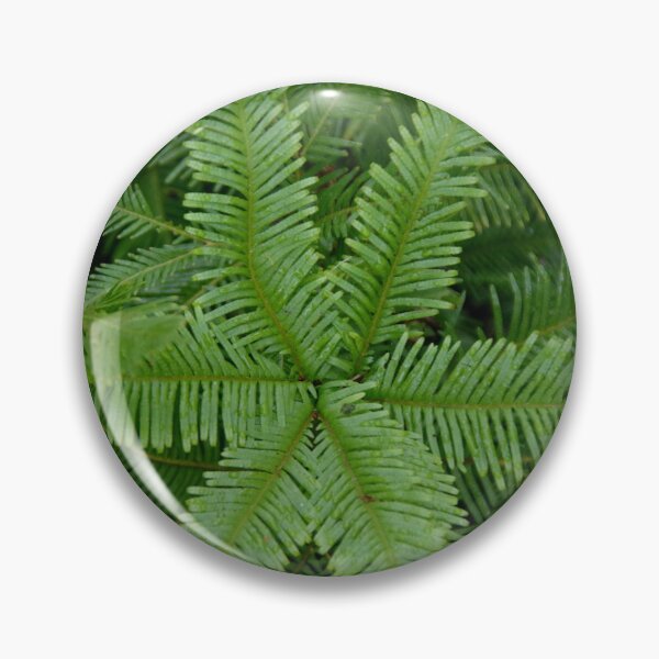 Item preview, New Zealand Fern designed and sold by lezvee.