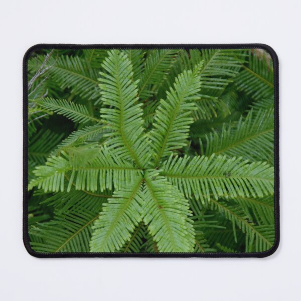 Item preview, New Zealand Fern designed and sold by lezvee.